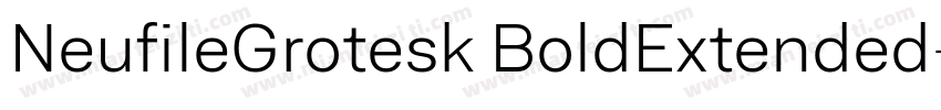NeufileGrotesk BoldExtended字体转换